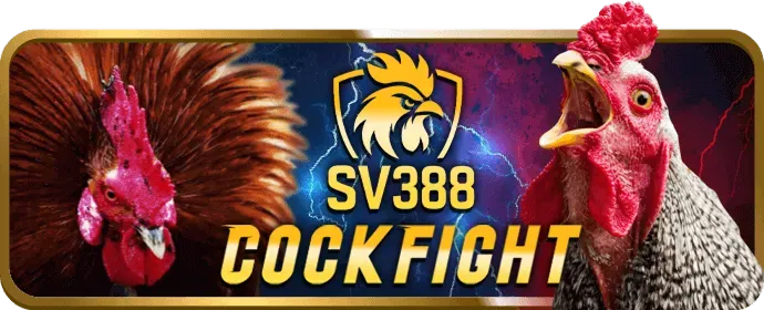 Đá Gà Thomo 5699win
